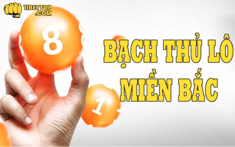 huong-dan-cu-the-cach-soi-bach-thu-mien-bac