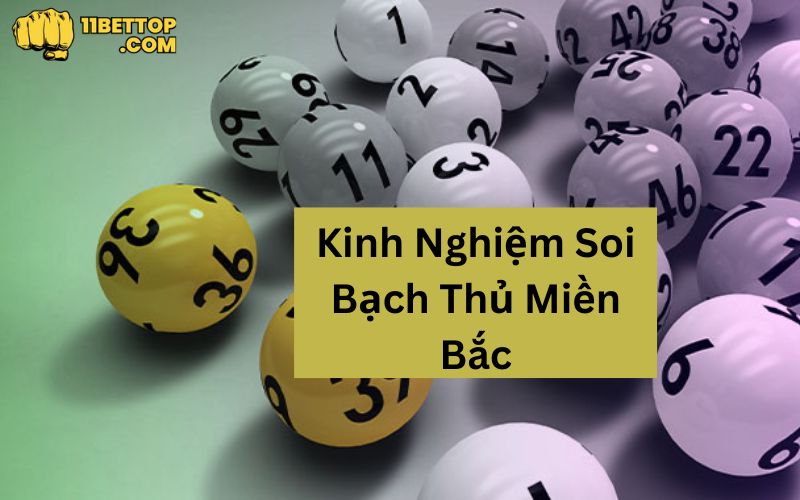 nam-bat-cac-meo-hieu-qua-cua-bach-thu-cau-mien-bac