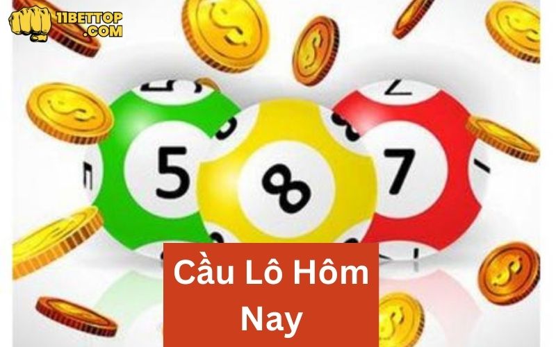 tong-hop-cac-phuong-phap-soi-cau-lo-hom-nay